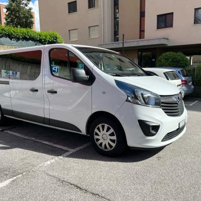 Vivabrasil Van 1